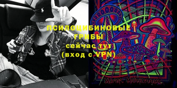 дурь Гусев