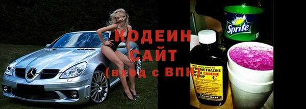 дурь Гусев