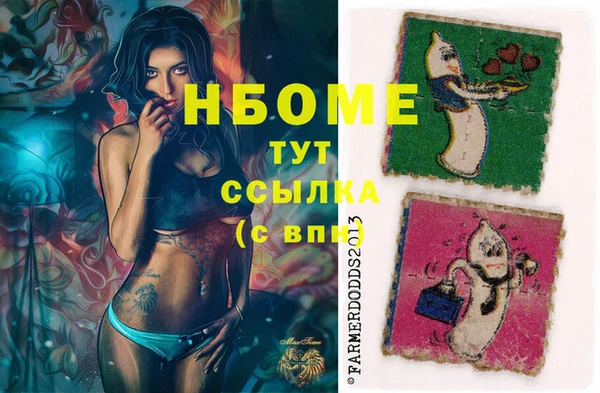 дурь Гусев