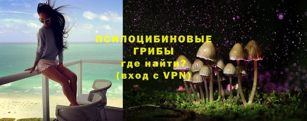дурь Гусев