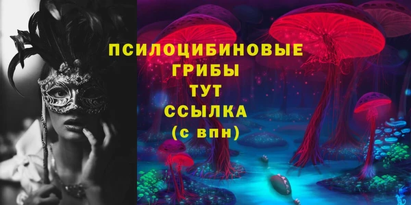 дурь Гусев
