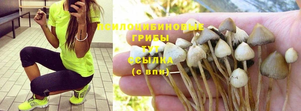 дурь Гусев