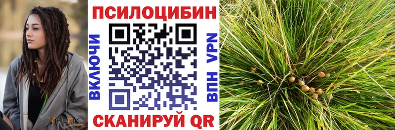 Псилоцибиновые грибы MAGIC MUSHROOMS  Купить закладки  Вытегра 